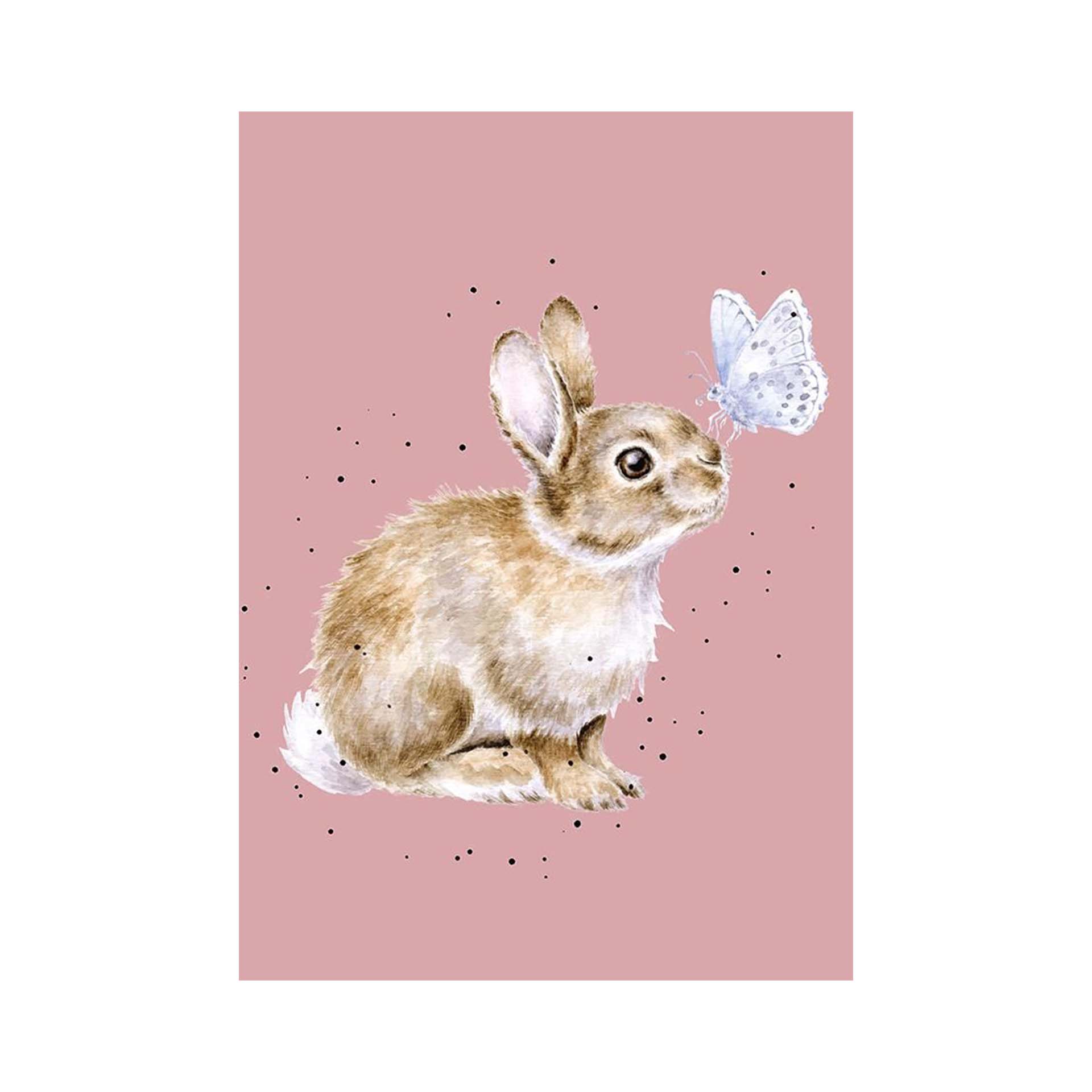 Wrendale Notizbuch, DIN A6, Motiv kleiner Hase, I spy a butterfly