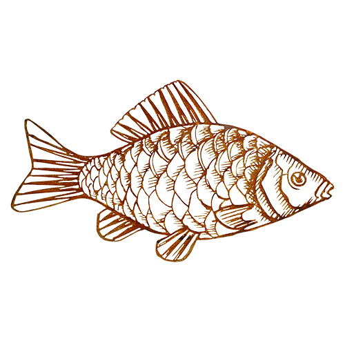 Fisch Laser, Edelrost, 70 cm